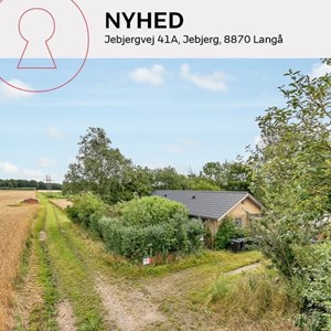 Opslagsbillede