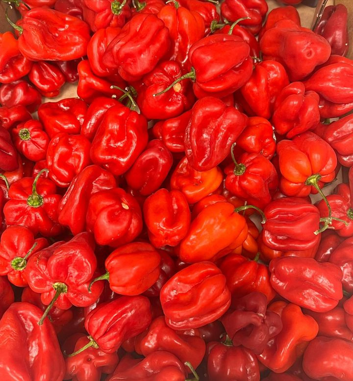 Hold dig ajour med dagens opdateringer fra Silkeborg