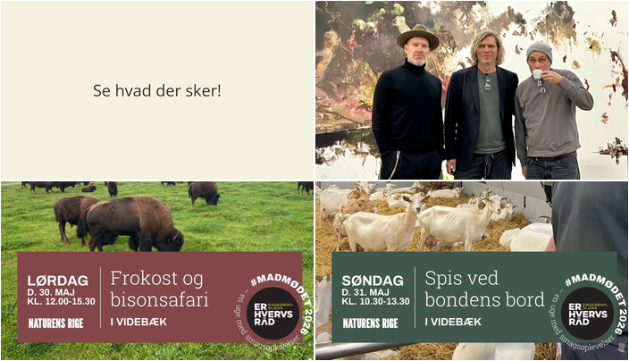 Oplev en kultur-weekend i Videbæk: Kunst, bisonokser og gedemejeri