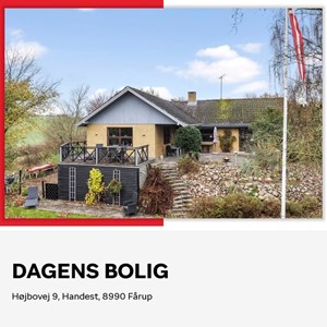 Opslagsbillede