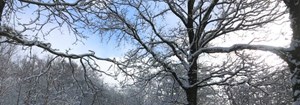 Oplev Mols Bjerge: Vandretur med Natur Mols