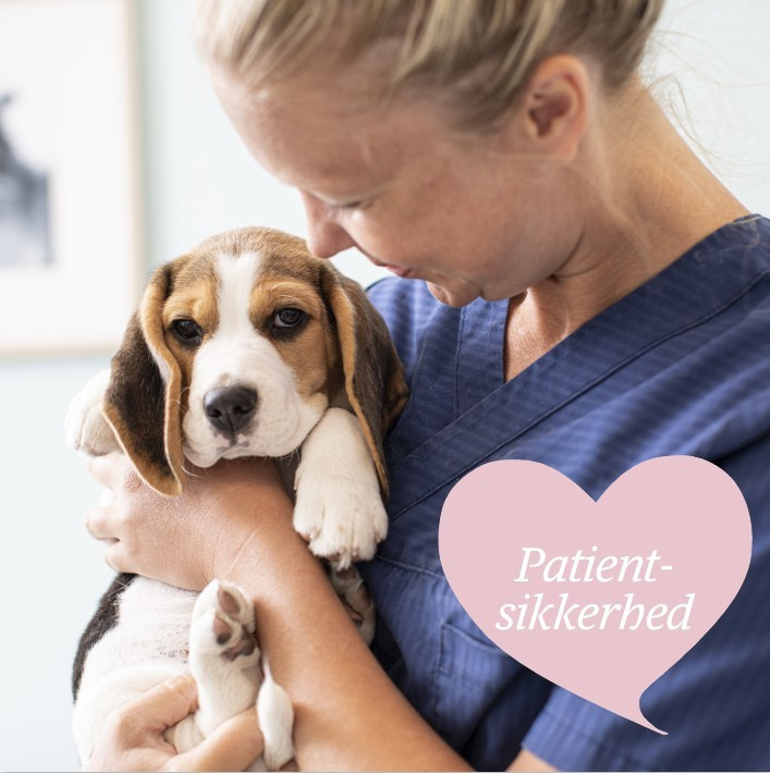 Hold trit med lokalområdet: Nyt fra Hjørring