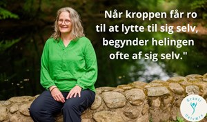 opslagsbillede