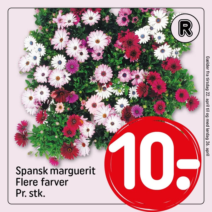 Rema1000 Gærumvej ønsker god påskeslutspurt og varsler ny avis fra i morgen