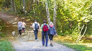 Snør vandrestøvlerne og tag med på travetur i Hinnerup og omegn