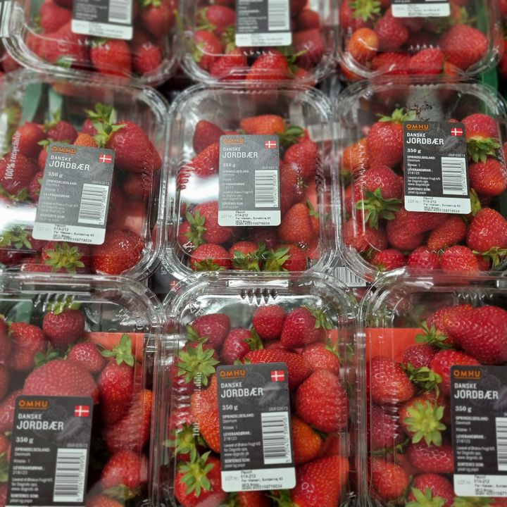 Hold trit med lokalområdet: Nyt fra Odder