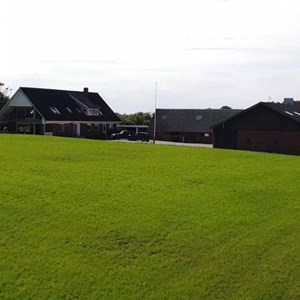 Opslagsbillede
