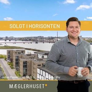 opslagsbillede