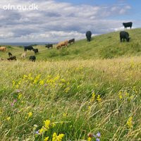 Forstå naturens tilbagegang og muligheder for genopretning