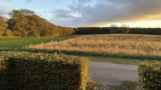 Netop kommet til salg: Edslevvej 5 en af Hørnings dyreste adresser