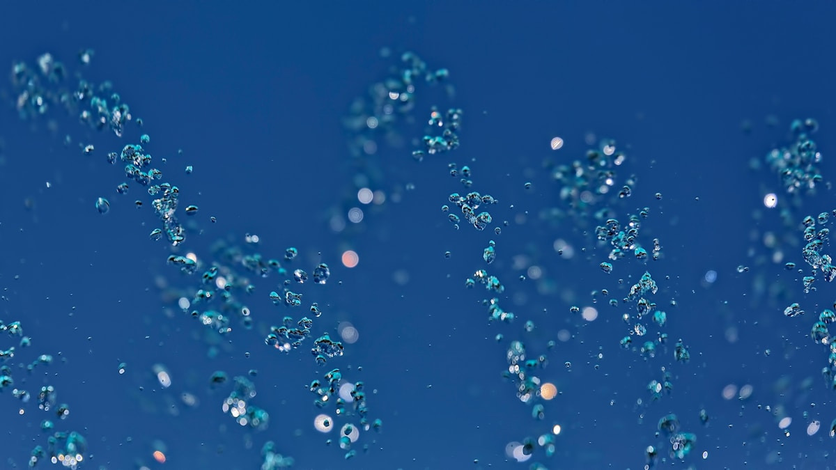 Jens Christian Bjerring om kunstig intelligens i Sct. Clemens Gård