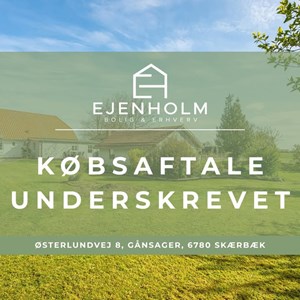 Opslagsbillede