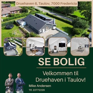 Opslagsbillede