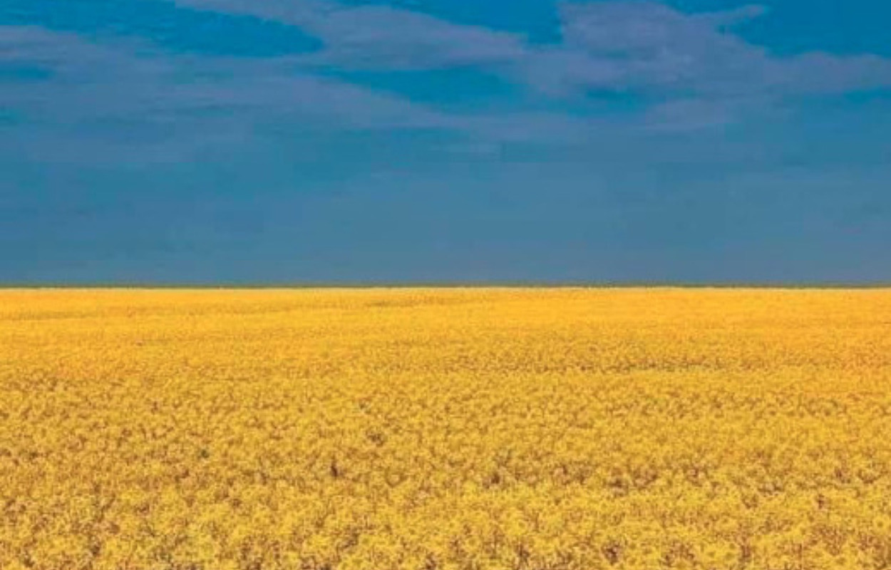 Min Købmand i Øster Bjerregrav ansætter ukrainske Titiana