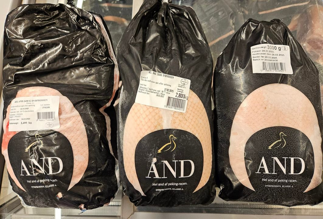 Opdatér dig her: Det nyeste fra Frederikshavn