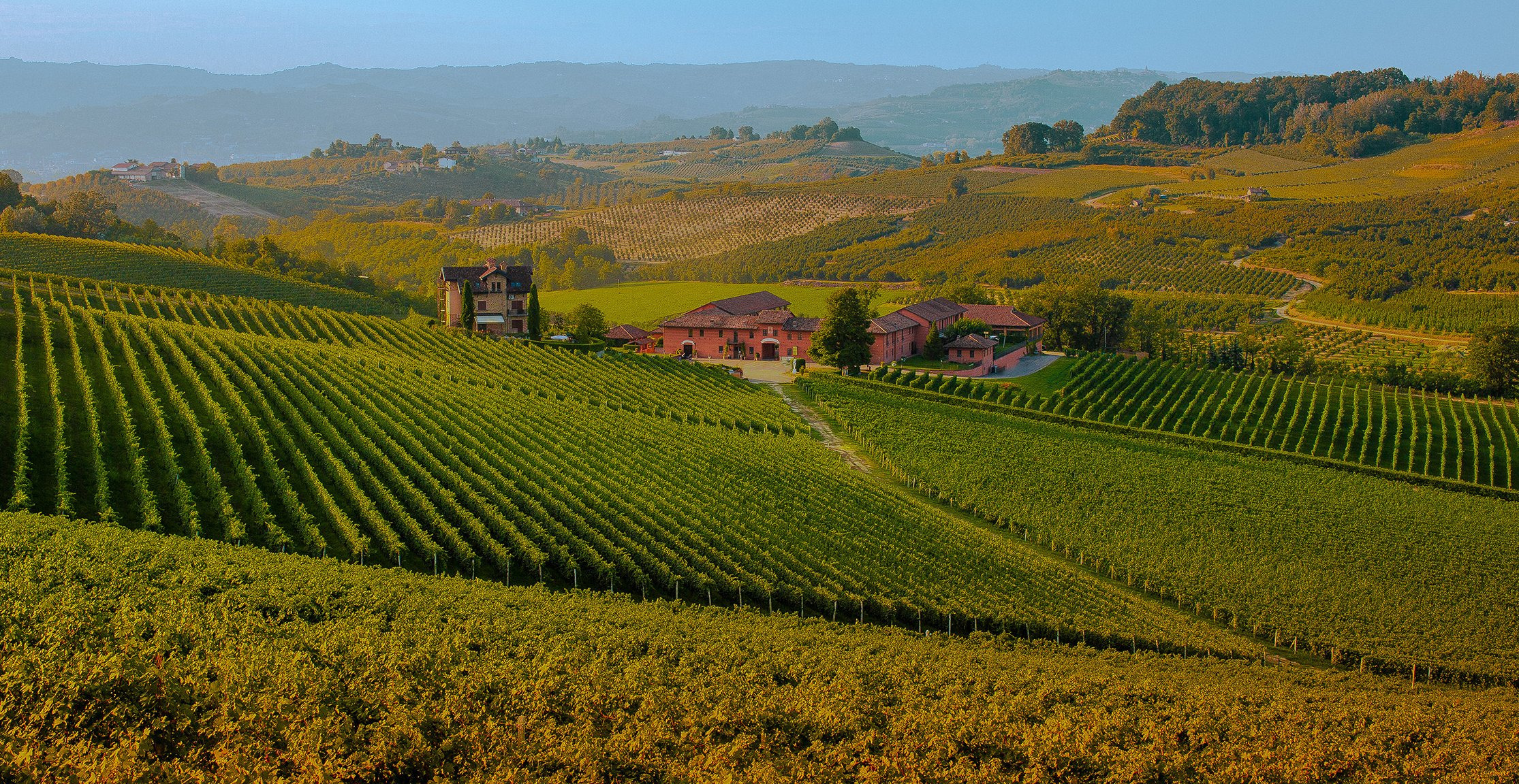 Lahvino introducerer nye vine i butikken fra historisk italiensk vingård 