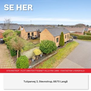 Opslagsbillede