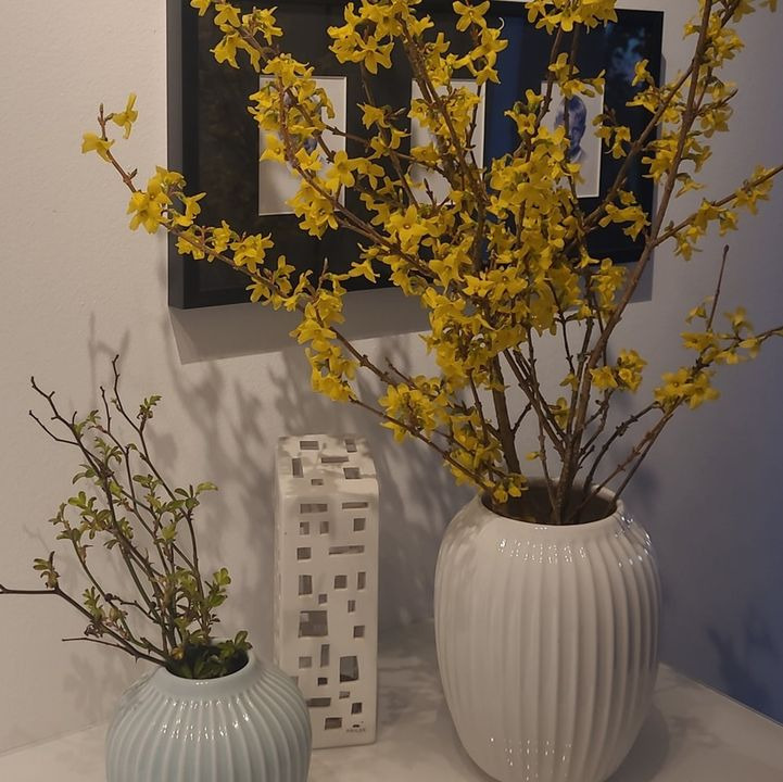 Nyt på opslagstavlen i Skanderborg