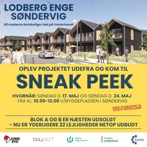 Opslagsbillede