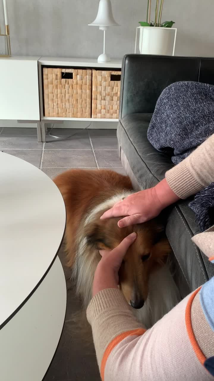 Hold trit med lokalområdet: Nyt fra Herning