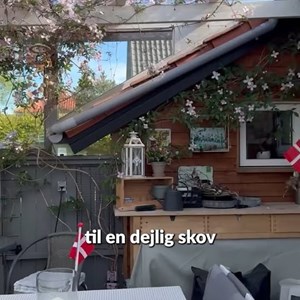Opslagsbillede