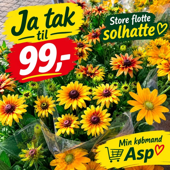 MIN KØBMAND I ASP sælger store flotte solhatte til 99 kr.