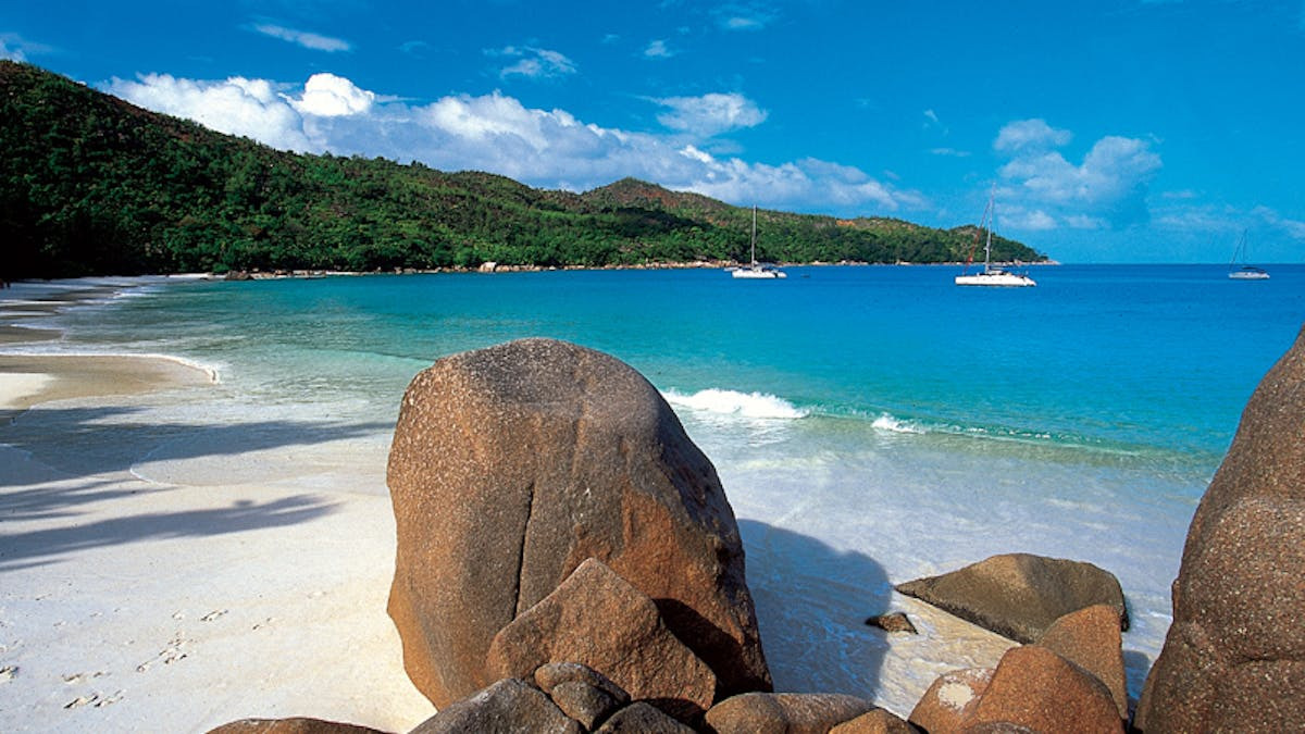 Oplev eksklusive kvalitetsrejser i Kongens Lyngby