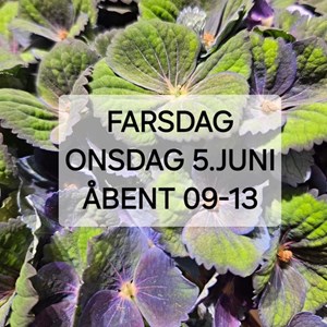 Opslagsbillede