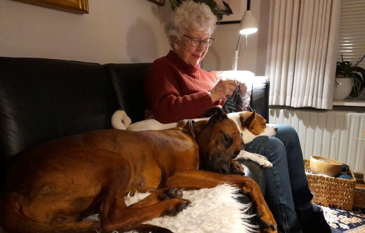 Ulla fra Hirtshals fik hund under corona: Shiva har reddet mit liv