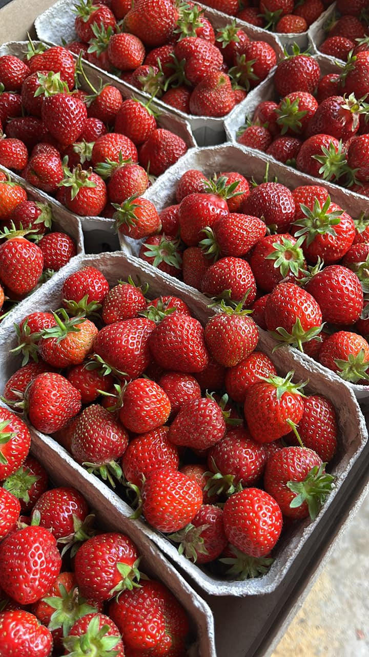 En finger på pulsen i Horsens