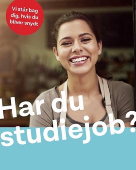 Opslagsbillede