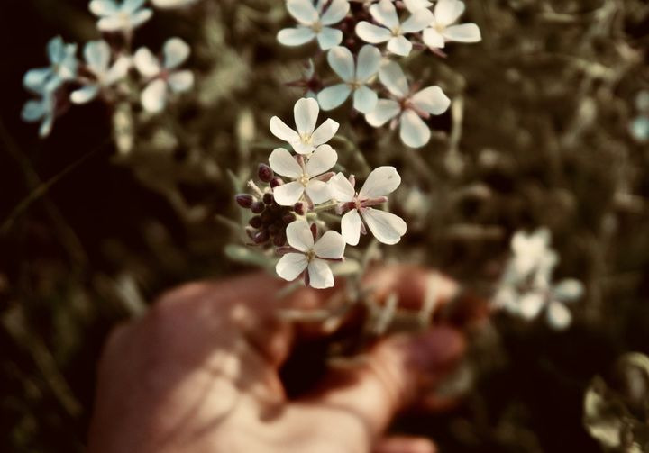 Gratis sorggruppe for voksne i Frivilligcenter Lyngby-Taarbæk