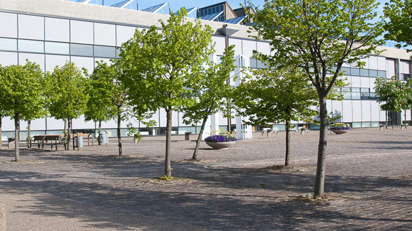 Frederikshavn Kommune reducerer åbningstider på Grundlovsdag: Sådan planlægger du dit besøg