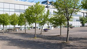 Frederikshavn Kommune reducerer åbningstider på Grundlovsdag: Sådan planlægger du dit besøg