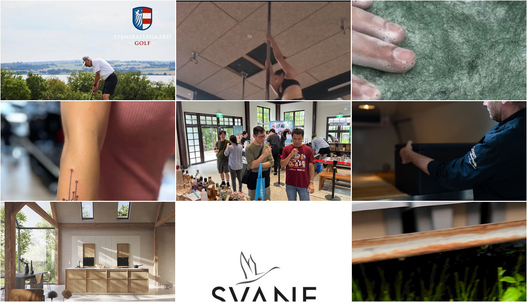 Nyt fra Rotpunkt Køkken, Svane Køkkenet Horsens, Pole Fitness Vejle og 6 andre