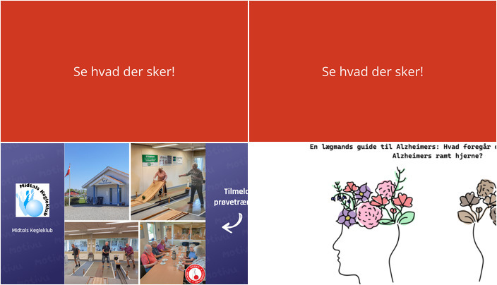Spændende arrangementer i vente i Augustenborg: Keglespil for seniorer og Alzheimers foredrag