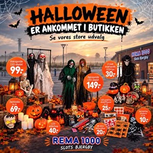 Opslagsbillede