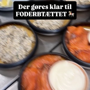 Opslagsbillede