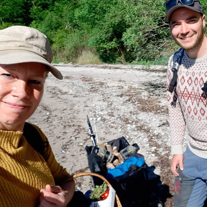 Det nyeste på Hammels opslagstavle