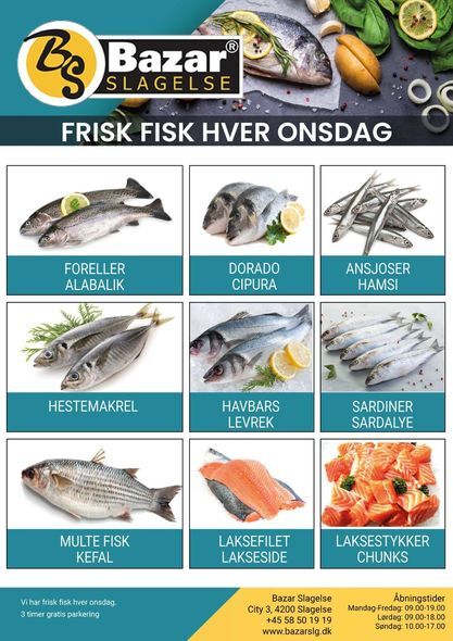 Dagens topnyheder på sociale medier fra dit område