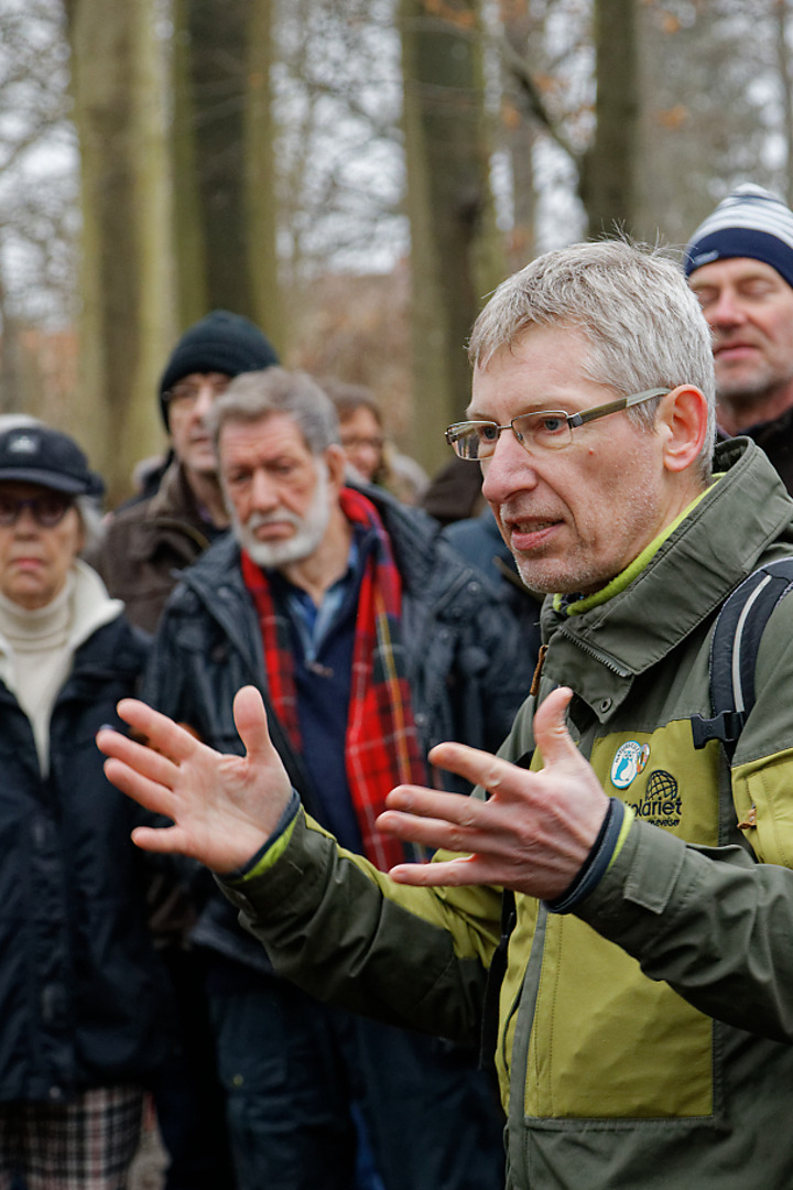 Oplev naturens skønhed på en offentlig naturtur i Vejle