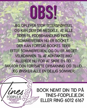 opslagsbillede