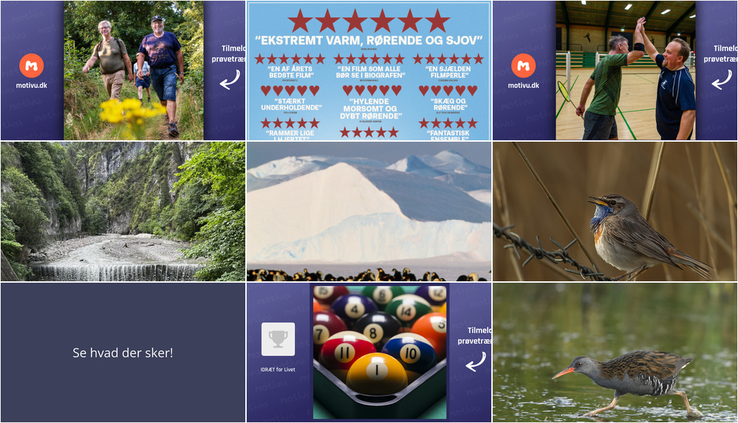 Oplev det bedste fra Tønder i den kommende uge: Guidede fugleture, film og inspirerende foredrag.