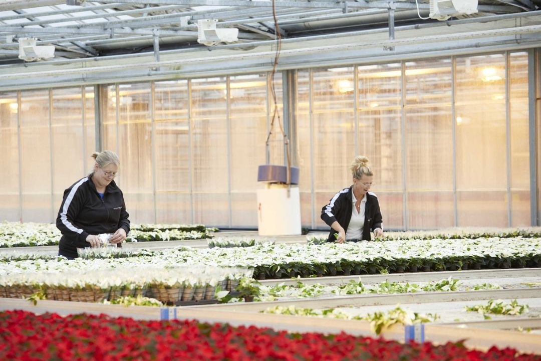 En finger på pulsen i Frederikshavn