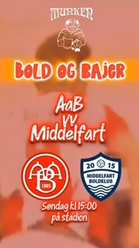 Opslagsbillede