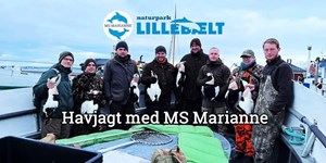 Tag med på havjagt fra Middelfart Gammelhavn