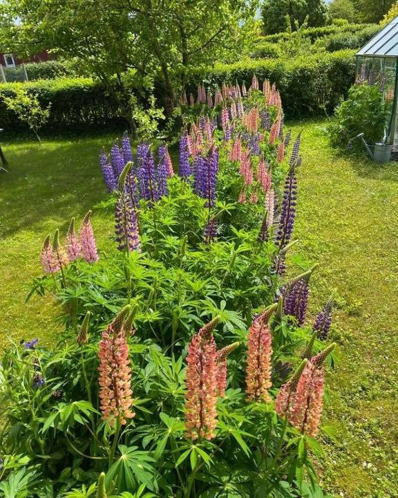 Hold trit med lokalområdet: Nyt fra Hobro