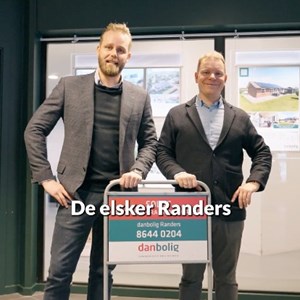 Opslagsbillede