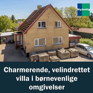 Opslagsbillede