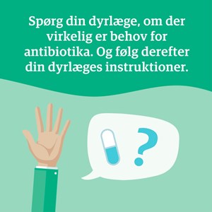 Opslagsbillede
